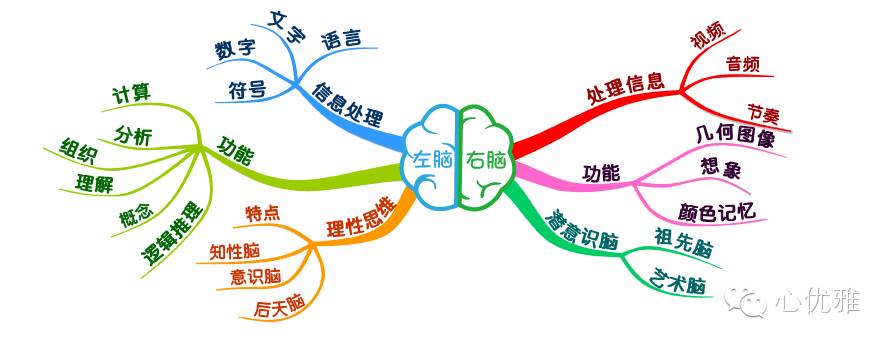 右脑及左脑_女性多路痴原因分析_右脑记忆与左脑记忆差异