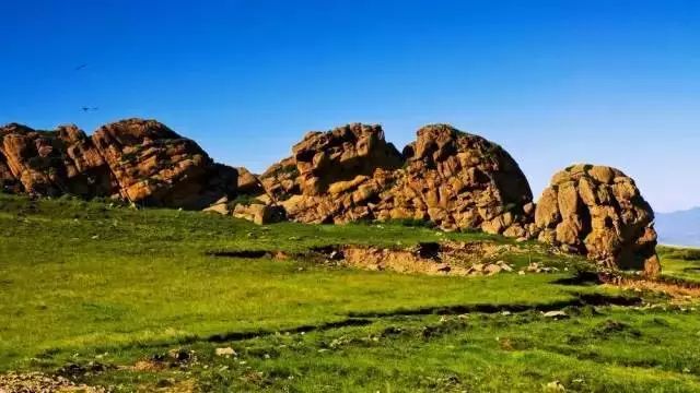 尚义大青山旅游攻略_河北大青山国家级森林公园_尚义旅游网