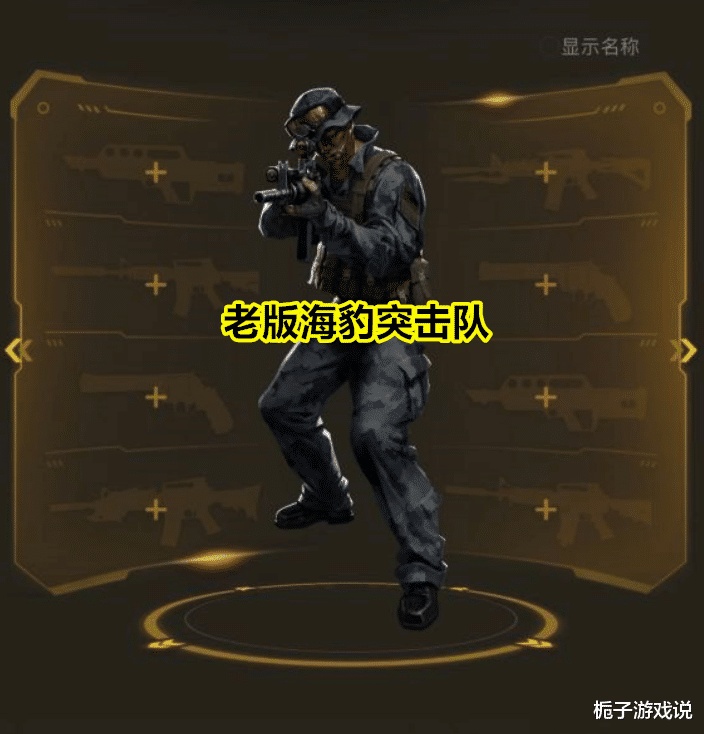 穿越火线：九年老玩家回归游戏后晒截图，问海豹突击队角色算不算稀有角色？