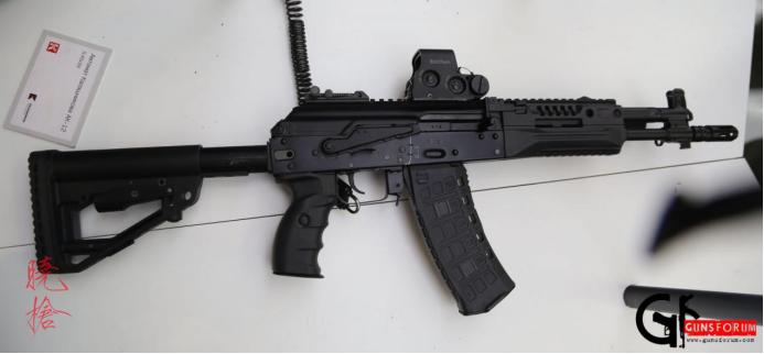 ak12穿越火线生化视频_AK12模块化设计_AK12枪族化