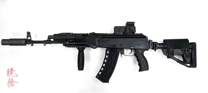 AK12模块化设计_ak12穿越火线生化视频_AK12枪族化