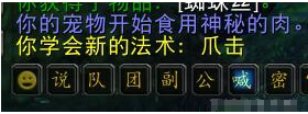 怀旧服猎人宠物技能学习_魔兽猎人抓什么宝宝好_怀旧服猎人10级抓宝宝