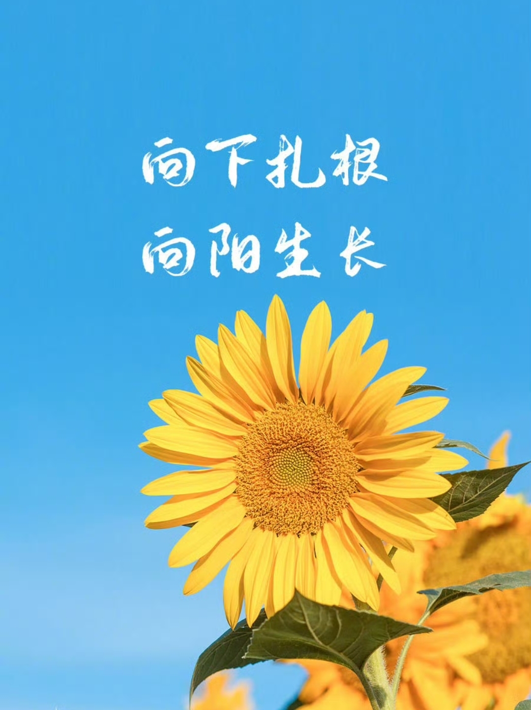现金股利政策对股价的英系那个_股票分红方式_现金股利措施
