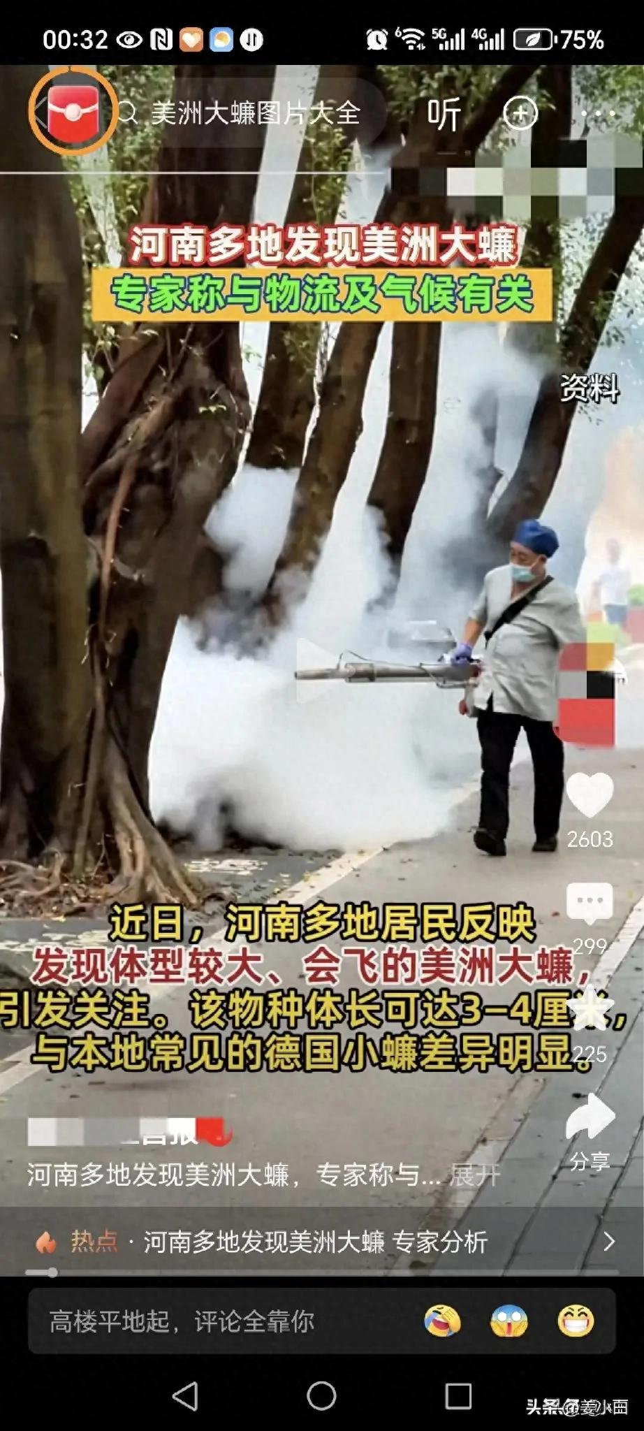 蟑螂会飞吗 爬得快吗_美洲大蠊入侵河南_巨型蟑螂河南