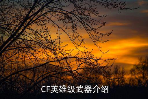 cf英雄级武器价格一览表大全,CF英雄级武器价格汇总，实时查看最新价格