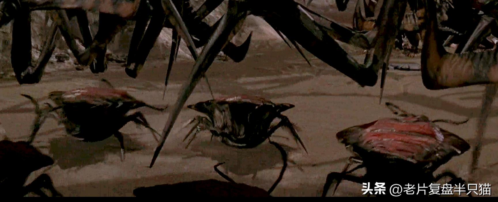 星河战队虫族兵种_虫族勇士介绍_星河战队游戏秘籍