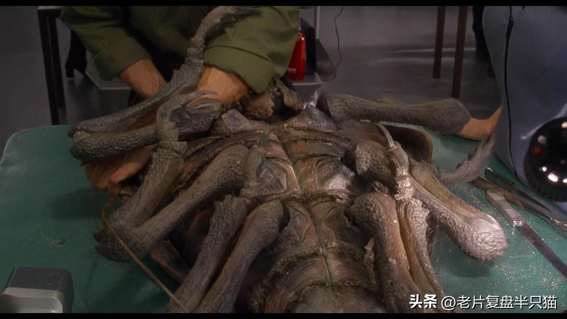 虫族勇士介绍_星河战队游戏秘籍_星河战队虫族兵种