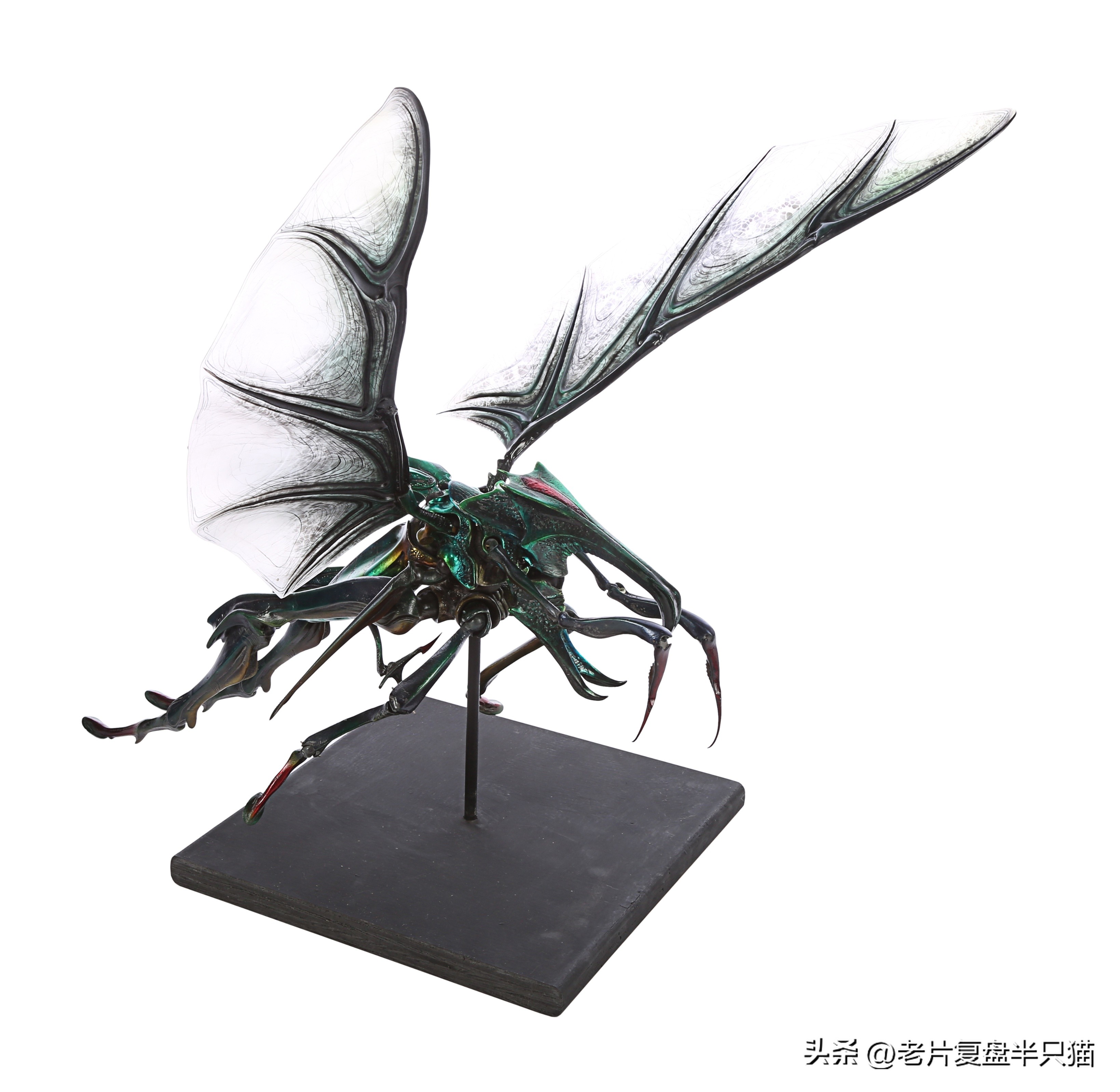 星河战队虫族兵种_星河战队游戏秘籍_虫族勇士介绍