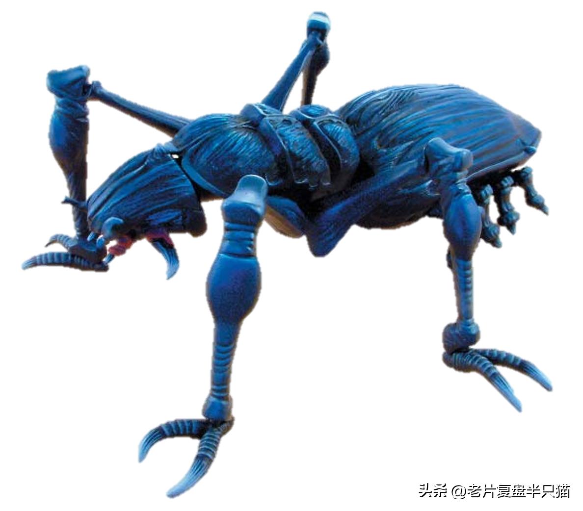 星河战队虫族兵种_虫族勇士介绍_星河战队游戏秘籍