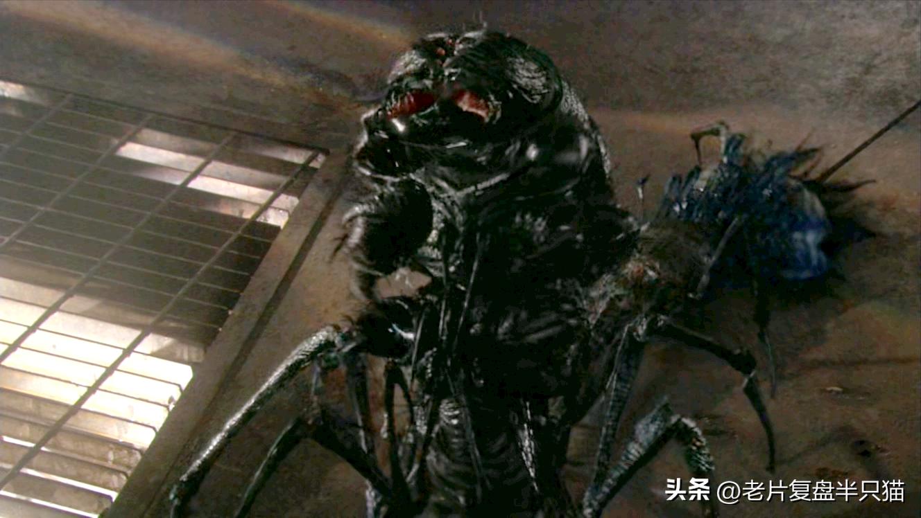 星河战队虫族兵种_虫族勇士介绍_星河战队游戏秘籍