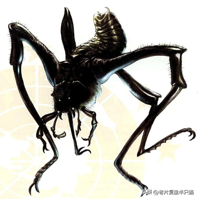 虫族勇士介绍_星河战队游戏秘籍_星河战队虫族兵种