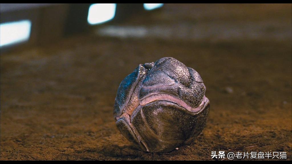 虫族勇士介绍_星河战队虫族兵种_星河战队游戏秘籍