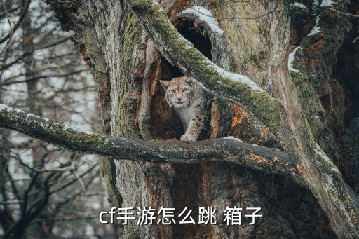 cf手游怎么跳 箱子
