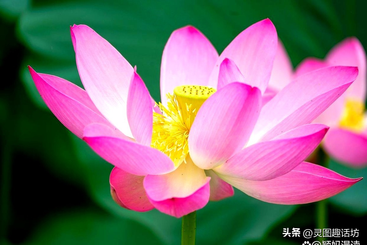 暑假不费钱益智陪玩_儿童灯谜大全及答案2025_幼儿猜谜语清单重复