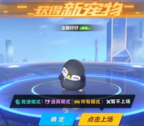 宠物系统玩法介绍_宠物驾驶舱功能详解_qq飞车宠物名字