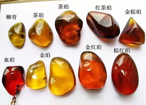 琥珀种类介绍_琥珀形成过程_琥珀 远古昆虫
