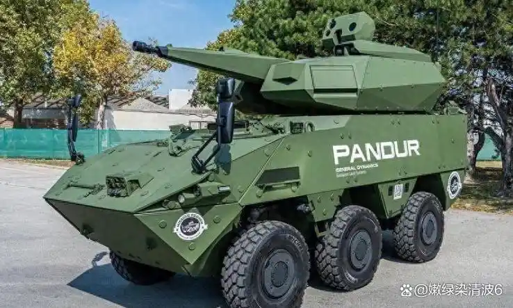 欧洲新款自行高炮亮相奥地利“空中力量-24”航展 瞩目的航空盛事