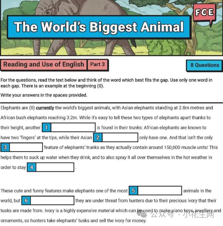 小学阶段先抓数学还是英语_四年级奥数计算题20道_小学英语学习攻略