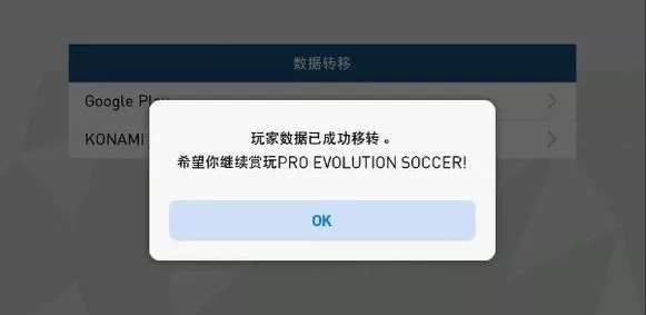 实况足球图片13