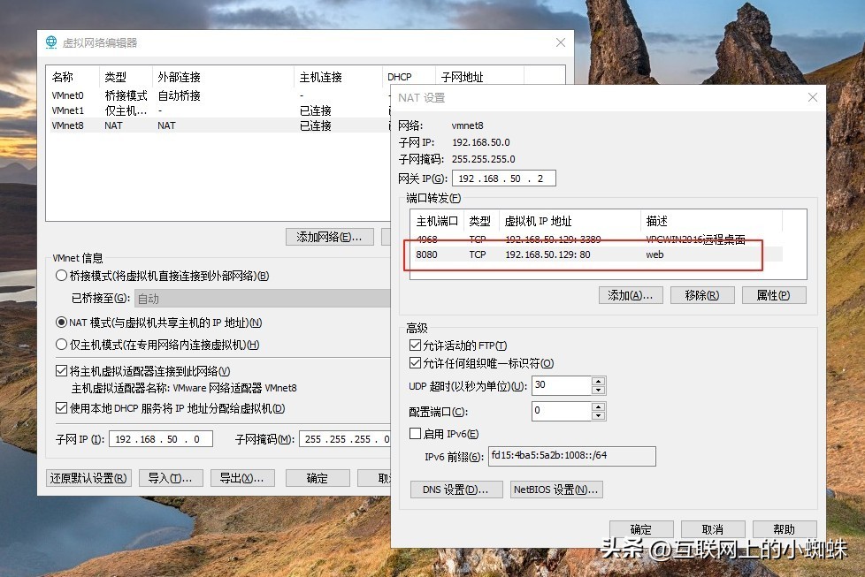 VMware虚拟机网络模式全解析：桥接/NAT/仅主机模式配置指南