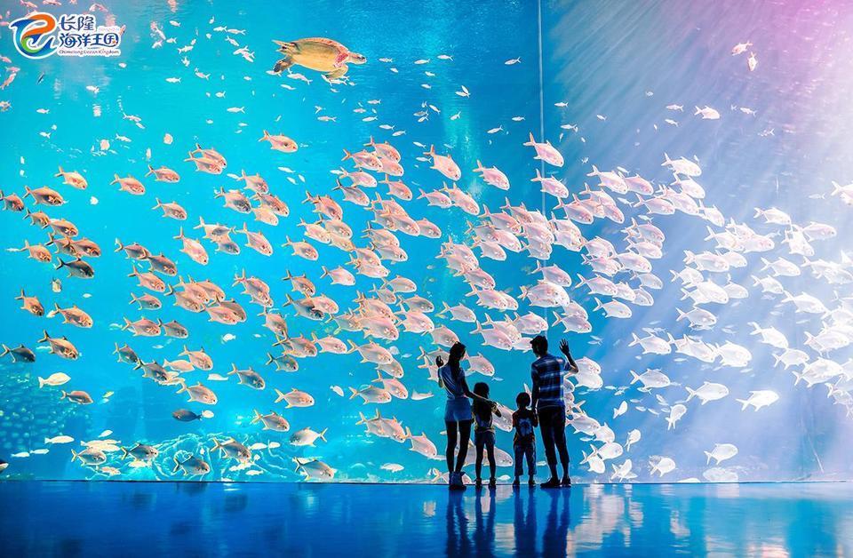 珠海长隆海洋王国鲸鲨馆图片