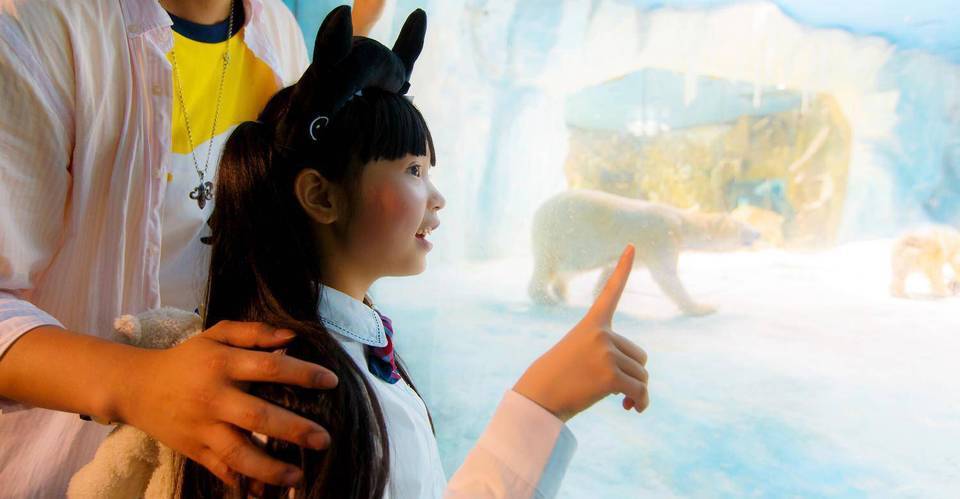 珠海长隆海洋王国北极熊馆图片