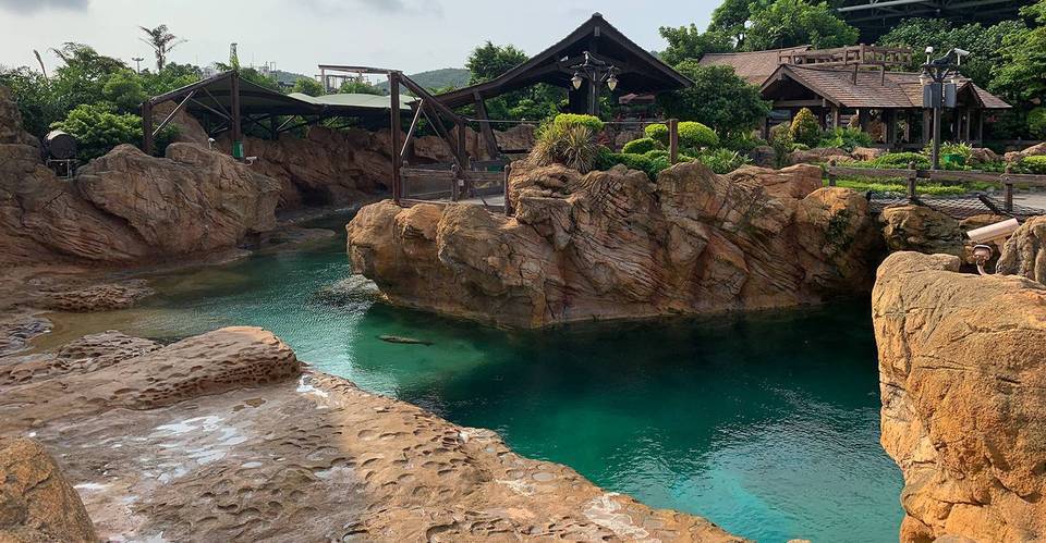 珠海长隆海洋王国海象岛图片