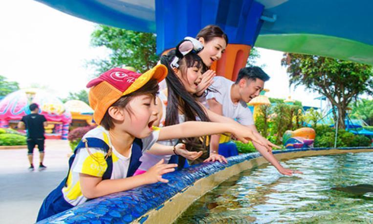 珠海长隆海洋王国鳐鱼池图片