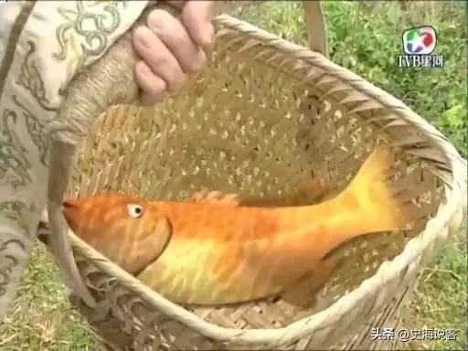 唐僧俗家姓陈 原著解析 唐僧为什么姓唐_玄奘的身世隐藏剧情