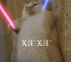 狗狗叫声音乐_狗狗不同叫声的意思_狗狗叫声含义