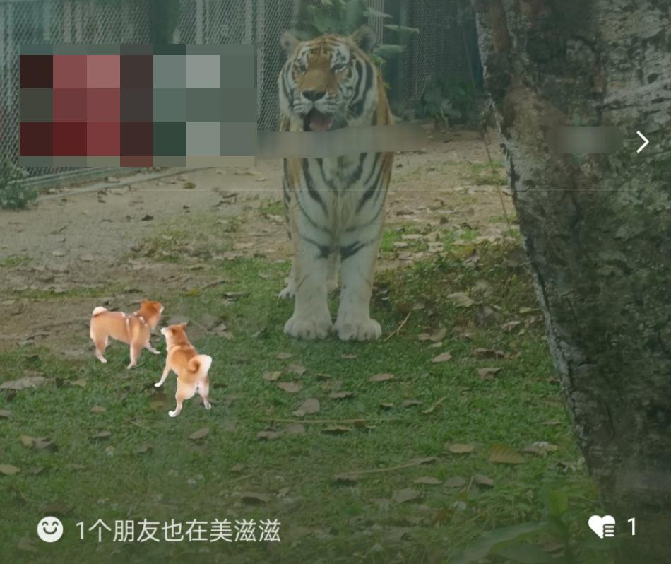 微信农场状态_微信状态玩法_qq农场在哪里