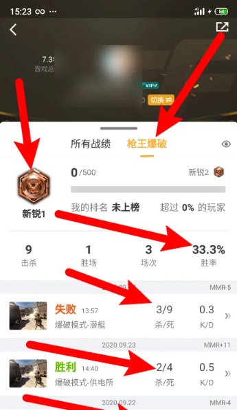 怎么玩好穿越火线_穿越火线掌上查看枪王排位战绩_掌上穿越火线枪王排位战绩查询