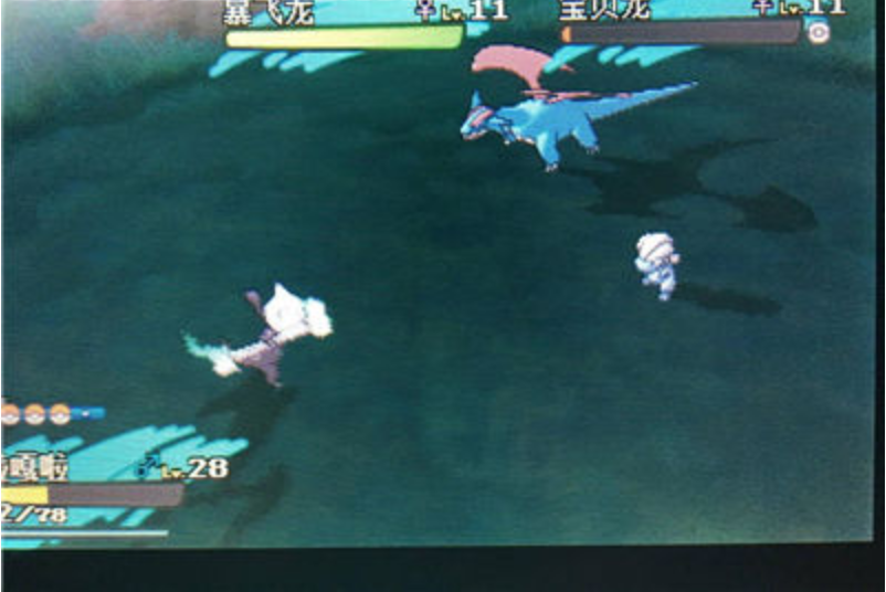 口袋妖怪日月通关队伍选择标准_口袋妖怪3ds最强阵容_御三家的选择