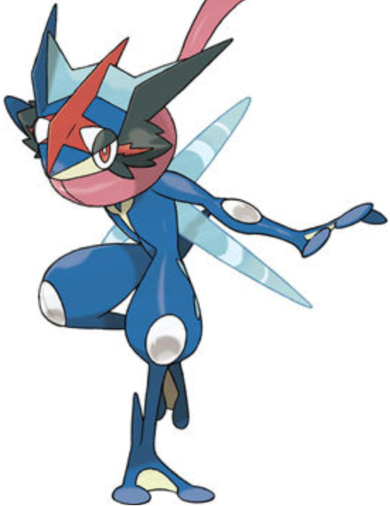 御三家的选择_口袋妖怪日月通关队伍选择标准_口袋妖怪3ds最强阵容