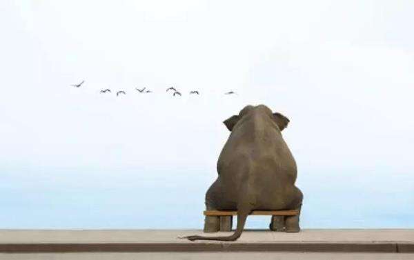 两届TGA冠军 CF赛场他比马哲70的资格还老