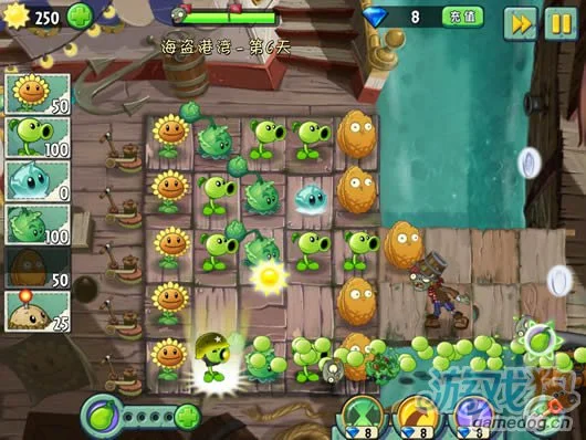 植物大战僵尸2海盗港湾第6天攻略14