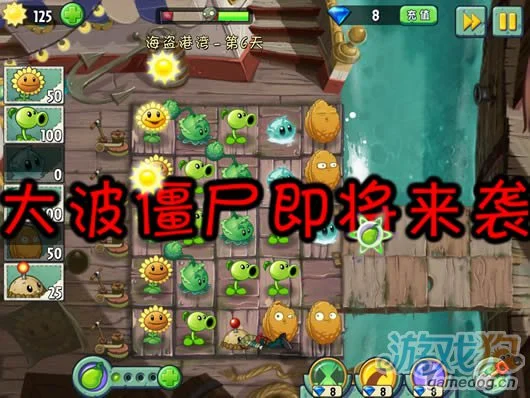 植物大战僵尸2海盗港湾第6天攻略8