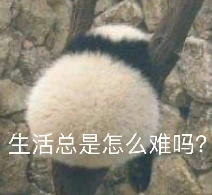 “面对论文，我有些无从下手……”