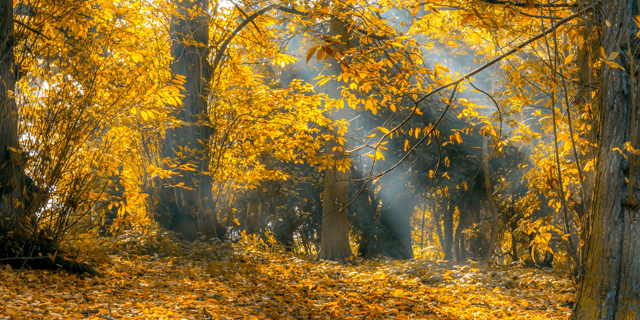 穿越火线视频下载(穿越火线视频下载观看)插图2