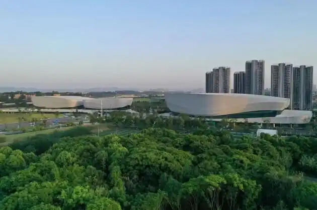 全球12支战队参赛 又一世界电竞赛事总决赛在成都高新区举行