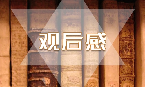 新闻联播观后感300字