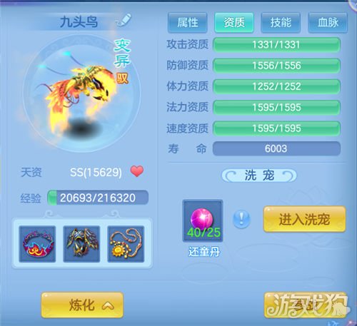 神武4宠物技能搭配攻略_神武4新手宠物系统_神武宝宝成长资质