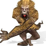 丝路传说死亡卡拉_丝路传说 怪物图鉴 等级颜色说明_丝路传说 绿洲王国 怪物分布