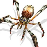 丝路传说死亡卡拉_丝路传说 怪物图鉴 等级颜色说明_丝路传说 绿洲王国 怪物分布