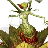 丝路传说 怪物图鉴 等级颜色说明_丝路传说死亡卡拉_丝路传说 绿洲王国 怪物分布