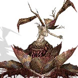 丝路传说 绿洲王国 怪物分布_丝路传说 怪物图鉴 等级颜色说明_丝路传说死亡卡拉