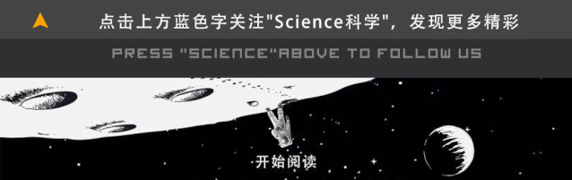 中国竟有两种大熊猫：一种像熊一种像猫 30万年没有过来往