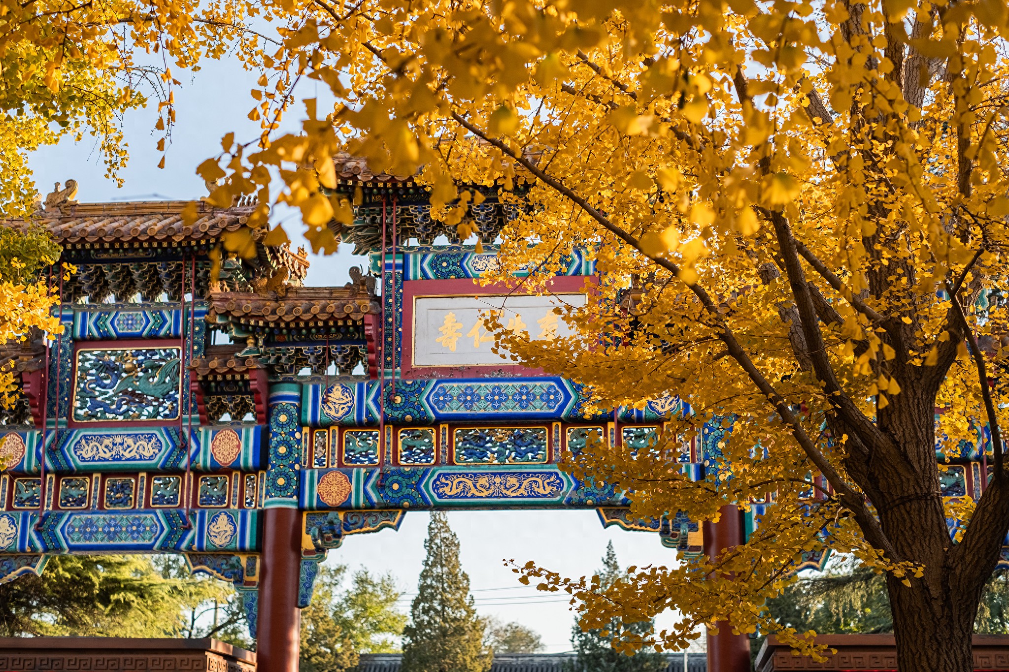 10-11月更新：北京旅行社TOP8综合评测