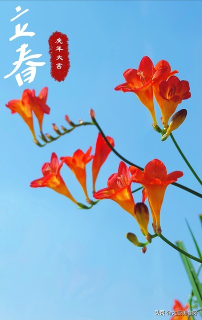 今日立春，2026年立春不一般，老人说有5大特点，有什么预兆？