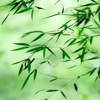 怎么降低在知网上查重的论文的重复率